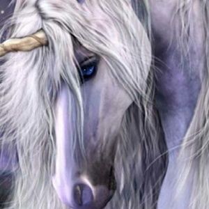 Meet your Posher, Casey